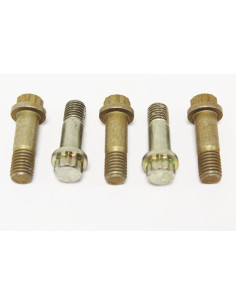 Tornillo Pinza de freno M12...
