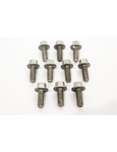 Tornillo Cabeza Embridada...