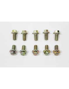 Tornillo M8 x 16 - FS108161L