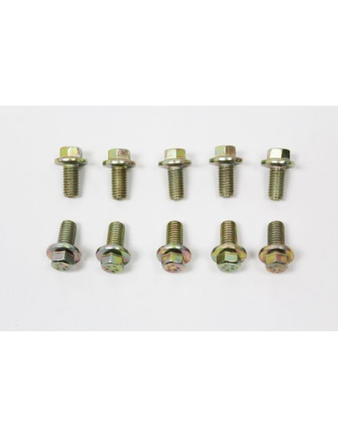 Tornillo M8 x 16 - FS108161L