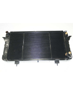 Radiador V8 Caja Cambios...