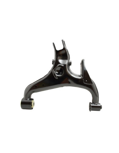 Trapecio trasero inferior Derecho