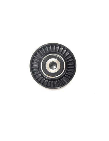 Rodillo Tensor - LR085466