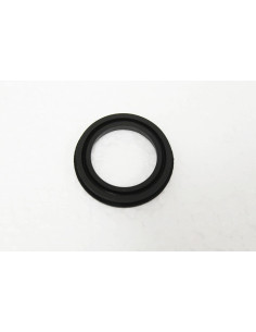 SELLO DE ACEITE DEL PIÑON... 2