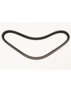 Correa Polyvee alternador -...