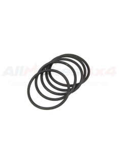 Anillo Tórico - Árbol de...