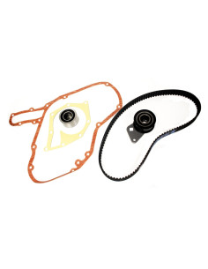 Juego - Correa de...