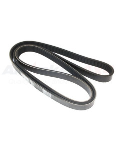 Correa de accesorios -...