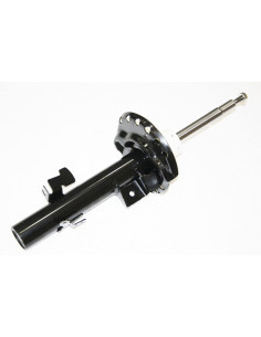 AMORTIGUADOR - IZQ. 2