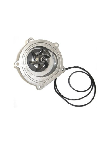 Bomba de Agua - Freelander - PEB102420L