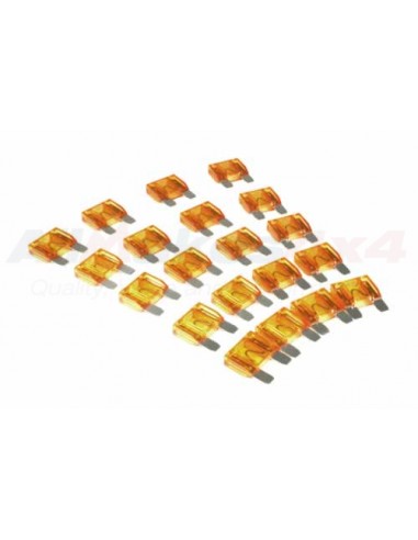 Fusible - 40A Tipo Maxi