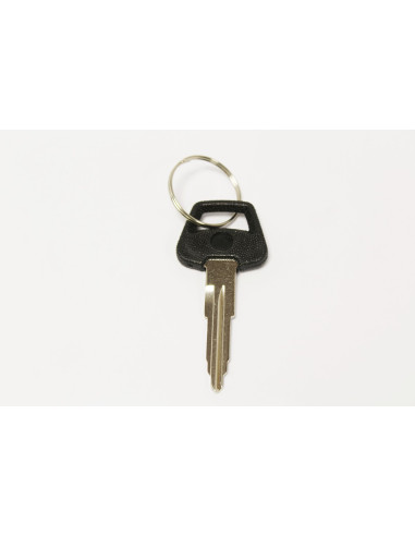 Llave sin tallar - CWE500390