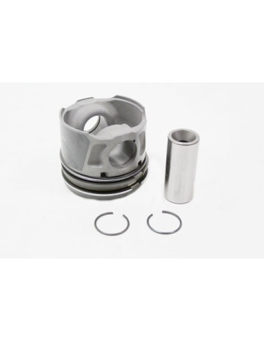 Conjunto de Pistón 2.2 Freelander 2 -...