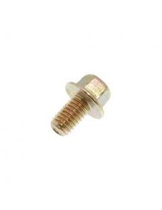 Tornillo M6 X 10MM -...
