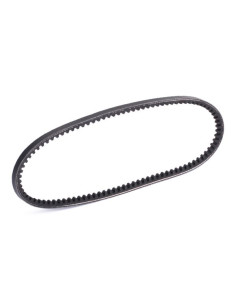 Correa Polyvee alternador -...