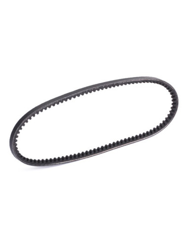 Correa Polyvee alternador - ERR2073G