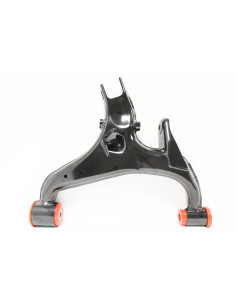 Trapecio trasero inferior...