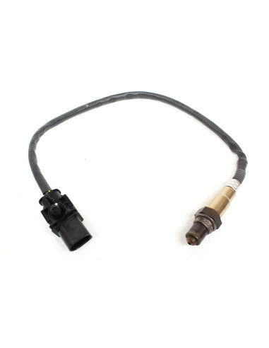 HEGO Sensor