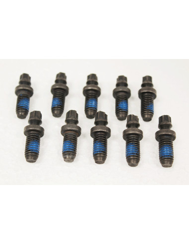 copy of Seal Front Door RH 1pc