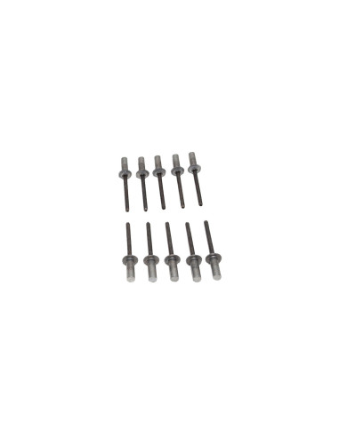 copy of RIVET