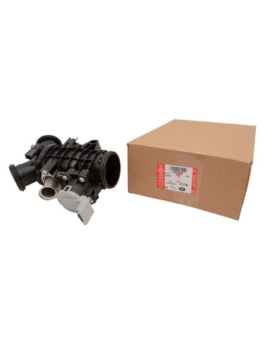 Throttle Body And Motor