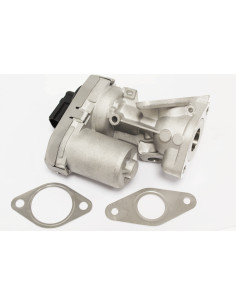 copy of VALVE - EGR