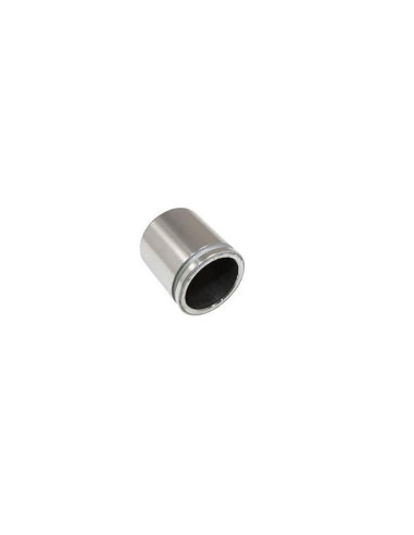 CALIPER - PISTON - REAR