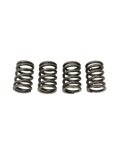 SPRING - VALVE - CYLINDER HEAD
