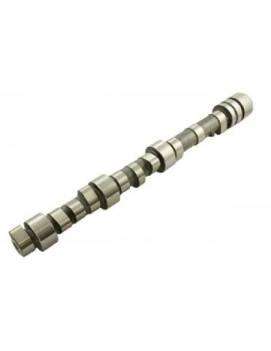 Árbol de Levas 300 TDI - ERR3547G