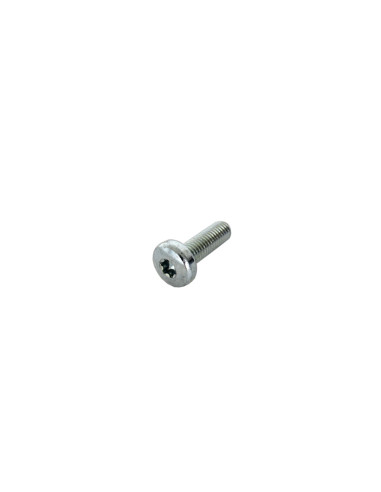 Tornillo bisagra porton trasero M8x25...