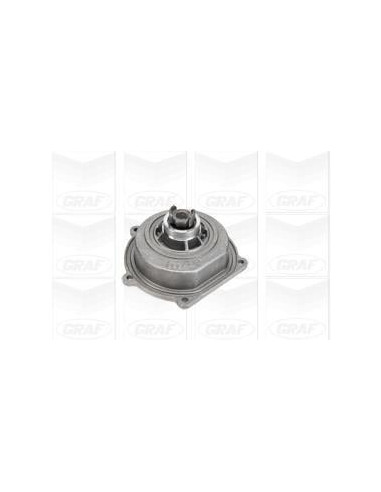 Bomba Agua TD5 - PEM500040GR