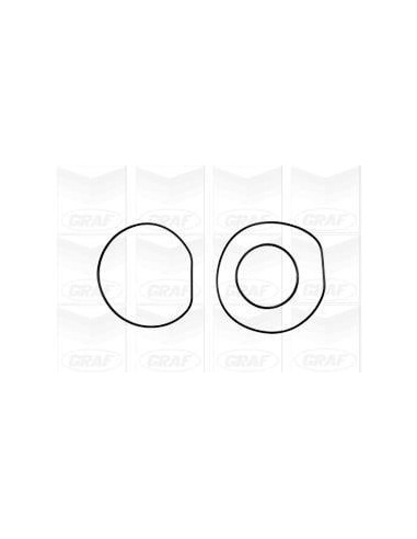 Bomba Agua TD5 - PEM500040GR