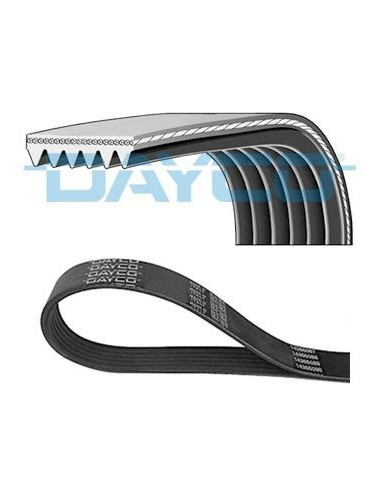 Correa de accesorios Freelander 2 -...