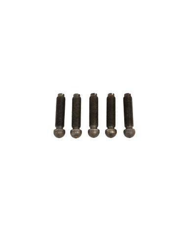 Tornillo Ajuste Taque Motor - ERR4883LR