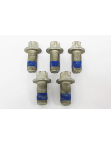 copy of SCREW
