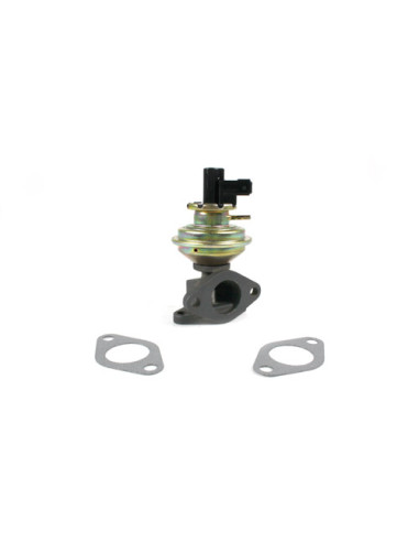 Válvula EGR 300TDI - WAV100330