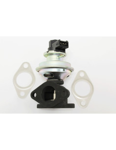 copy of VALVE - EGR