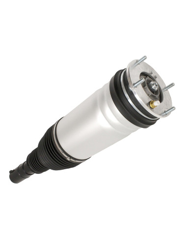 Conjunto de Amortiguador