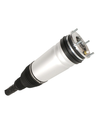 Conjunto amortiguador delantero...