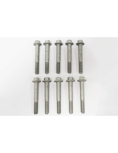 Tornillo M8 x 60 mm - LR000374