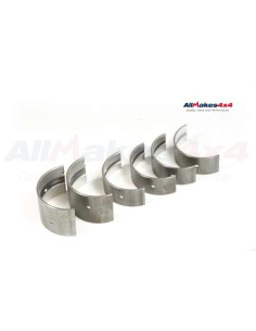 copy of BEARING SET